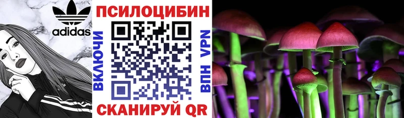 Псилоцибиновые грибы прущие грибы  Нижнекамск 